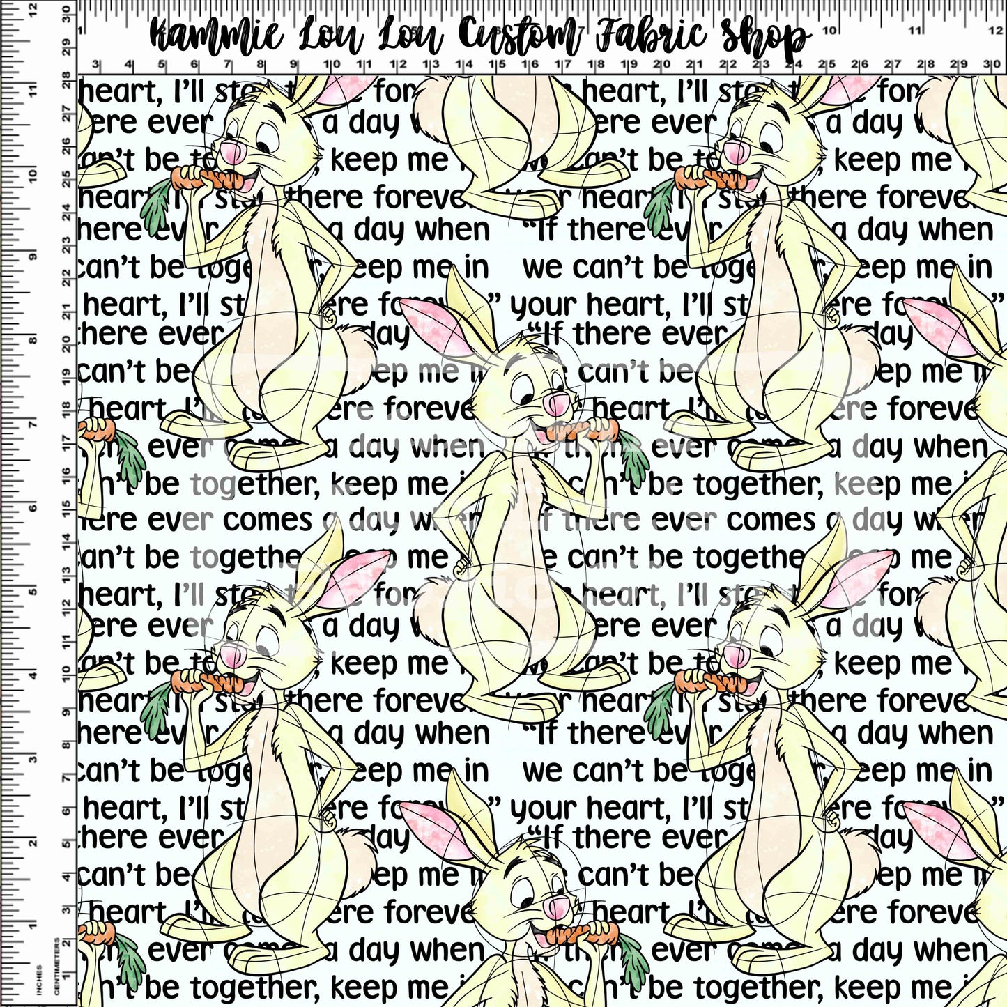 R119 Pre-Order Christopher's Adventure - Rabbit Words