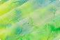 Minky Basics: Shannon Fabrics - Cuddle® Sorbet - Firefly