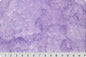 Minky Basics: Shannon Fabrics - Cuddle® Galaxy - Bellflower
