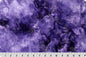 Minky Basics: Shannon Fabrics - Cuddle® Galaxy - Viola