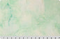 Minky Basics: Shannon Fabrics - Cuddle® Sorbet - Icicle