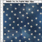 R112 Pre-Order Grand Old Flag - Weathered Stars