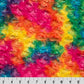 Endless Essentials Pre-Order: Minky Basics - Cuddle® Rose - Rainbow Vibrant